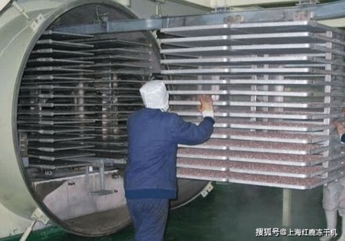 食品真空冷冻干燥机与水暖器材销售 跨界技术的应用与市场前景